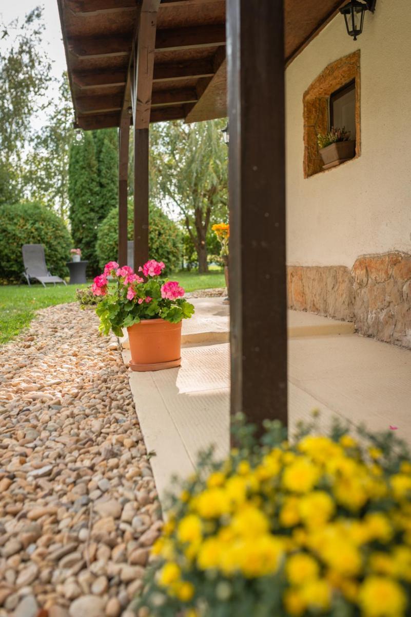 Lovely Cottage Home Velence Extérieur photo